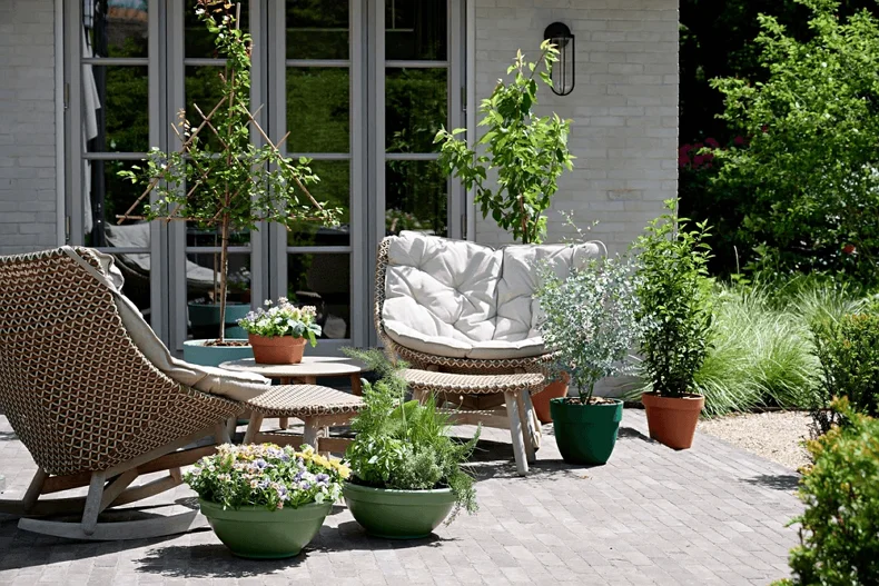 Une terrasse décorée de plantes en jardinières