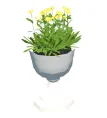 Flowers in white pot