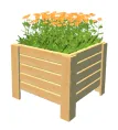 Flowers in wooden pot