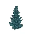 Blue spruce